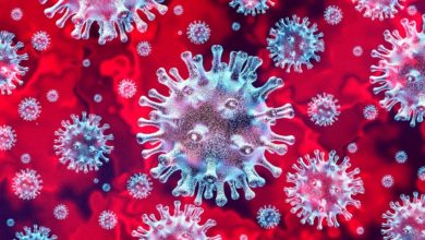 Photo of Coronavirus Has Mutated into at Least 30 Variants: Chinese Report