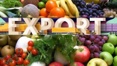 Photo of Pakistan’s Fruits & Vegetables Exports Witnessed a Major Growth Despite the Pandemic