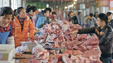 Photo of Pakistani Beef to Enter Chinese Market
